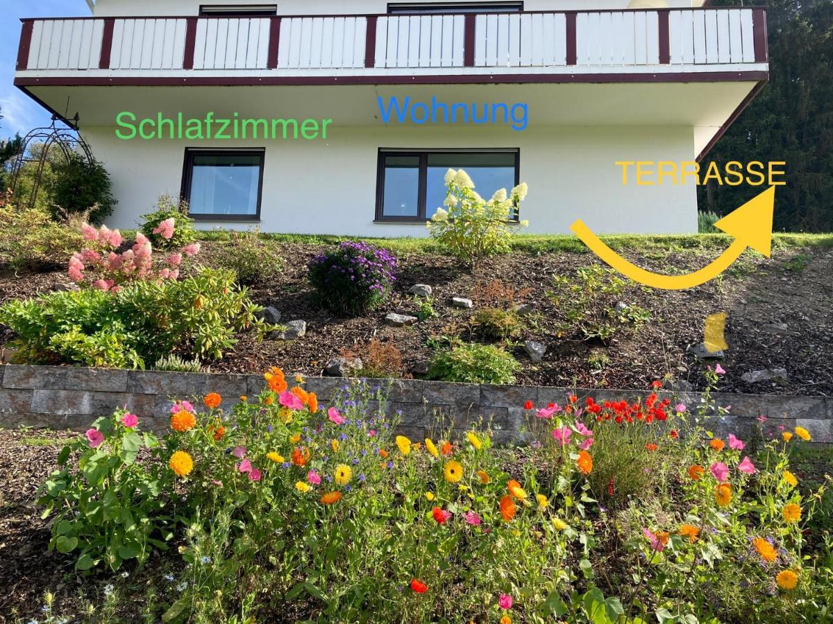 Ferienwohnung Stremme Willingen  Extérieur photo
